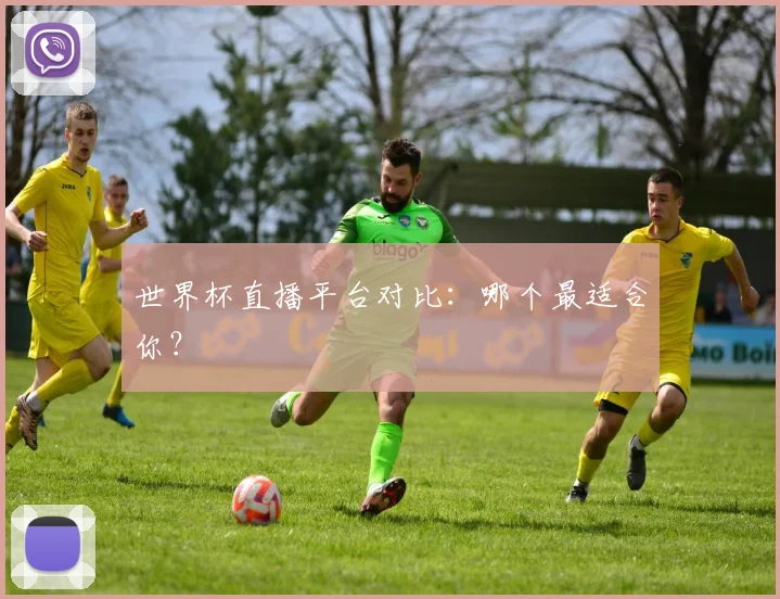 世界杯直播平台对比：哪个最适合你？