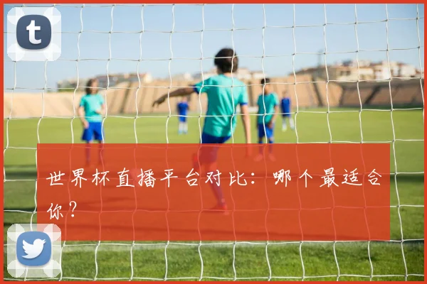 世界杯直播平台对比:哪个最适合你?